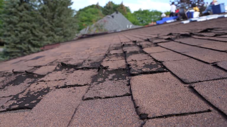 Best Emergency Roof Repair Services  in Orlando, FL